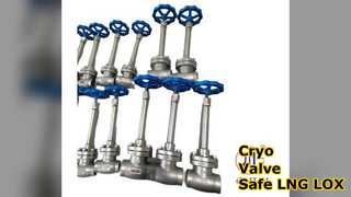 Cryo Globe Valve 5.0Mpa GNL LOX Safe