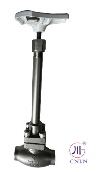 DN25 soupapes à billes cryogéniques pour GNL LOX LIN LAr CO2 soupape PTFE CF8 CF3