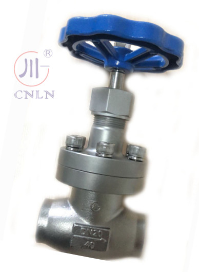 CNLN/Arman DJ61F-40P SS304/316 soupape à globe cryogénique à tige courte de type A ((DN10-100mm) pour les systèmes GNL/LOX/LN2