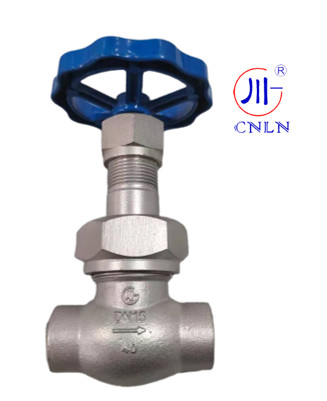 CNLN/Arman DJ61F-40P SS304/316 soupape à globe cryogénique à tige courte de type C ((DN10-50mm) pour les systèmes GNL/LOX/LN2