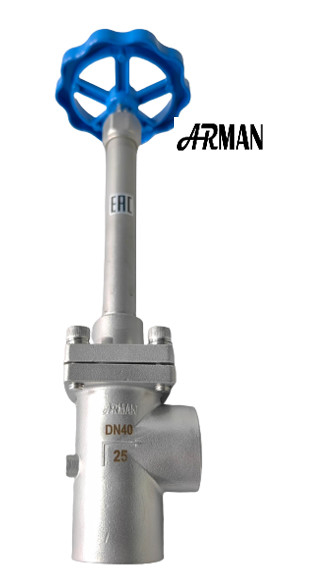 SS304/316 Ventilateur à globe cryogénique à angle long de la tige (DN15-40 mm) pour le GNL