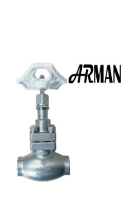 SS304/316 Valve à globe cryogénique à tige courte de type D ((DN10-50 mm) pour GNL/LOX/LN2