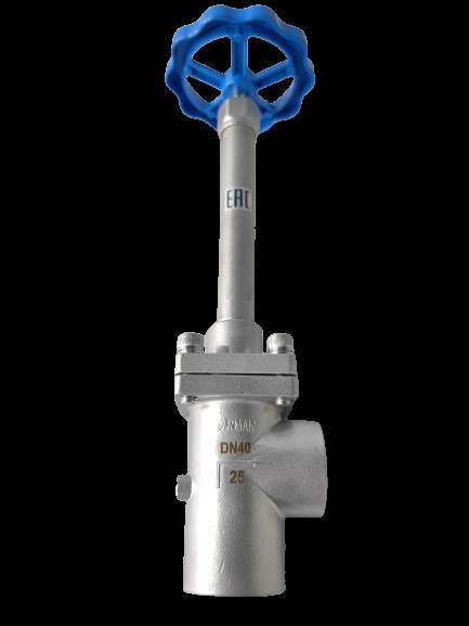 Étanchéité de disque de l'acier inoxydable 304 / 316 à basse température PCTFE