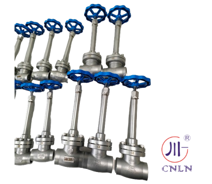 Valve à globe cryogénique en acier inoxydable CF8 CF3 soudage de prise -196°C à +80°C