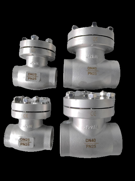 Valve à globe cryogénique à tige longue Valve à globe à tige longue 5.0Mpa Pression 3/8'-4' Taille CF8/CF3 Matériau pour les applications GNL/LOX