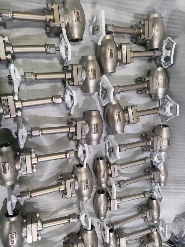 DN25 soupape à globe cryogénique en acier inoxydable 304/316 avec joint PTFE et corps de soupape CF8/CF3 pour -196°C à +80°C Applications