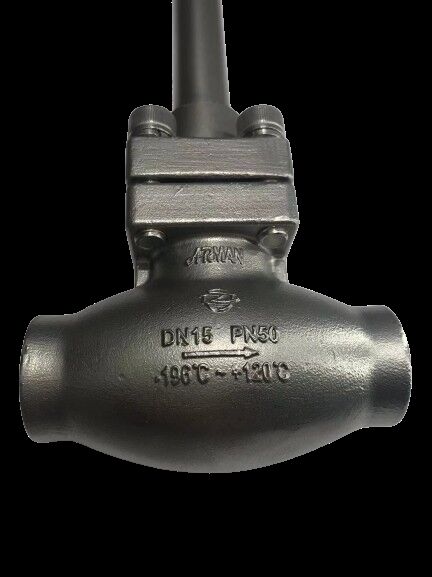 Vanne globe cryogénique en acier inoxydable 304/316 avec une pression maximale de 5,0 MPa et une plage de température de -196°C à +80°C