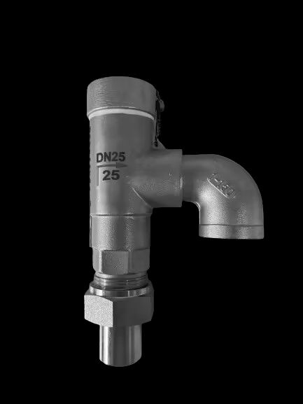 Pression nominale de la soupape de sécurité cryogénique en acier inoxydable pour applications de -196°C à +120°C