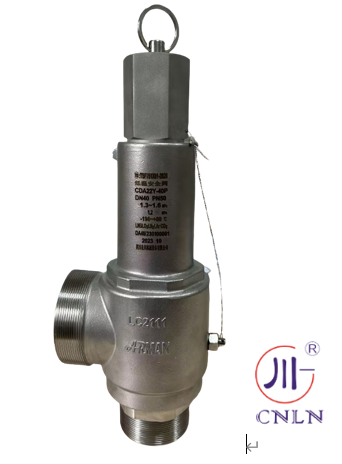 Valve de sécurité cryogénique en acier inoxydable à pression nominale de 4,0 MPa pour des applications allant de -196°C à +120°C