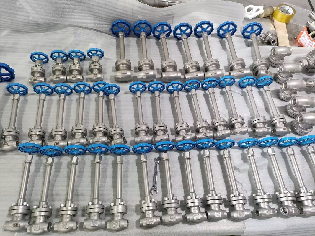 Vanne globe cryogénique en acier inoxydable 304/316 avec une pression maximale de 5,0 MPa et une plage de température de -196°C à +80°C